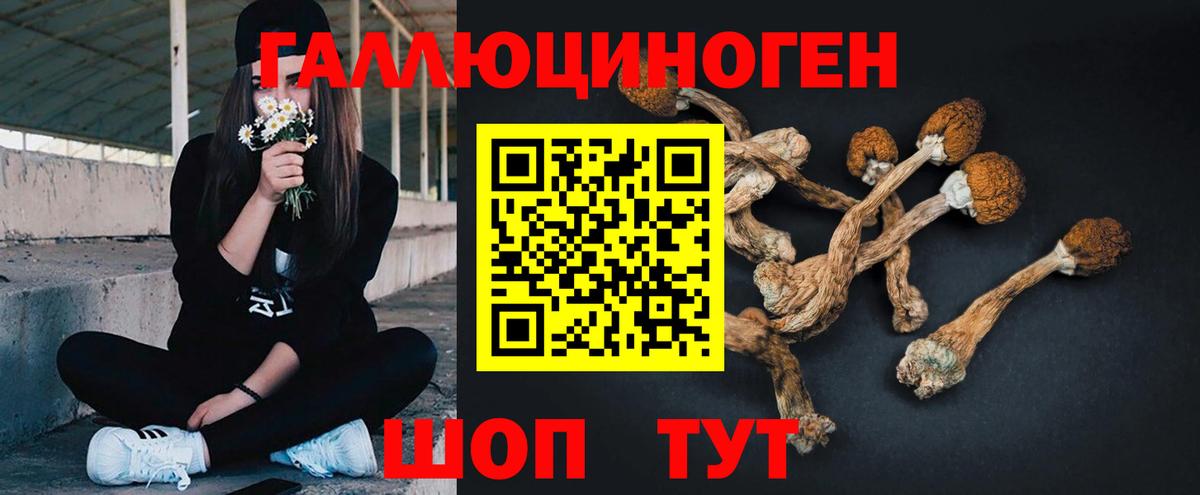 Псилоцибиновые грибы мицелий Симферополь