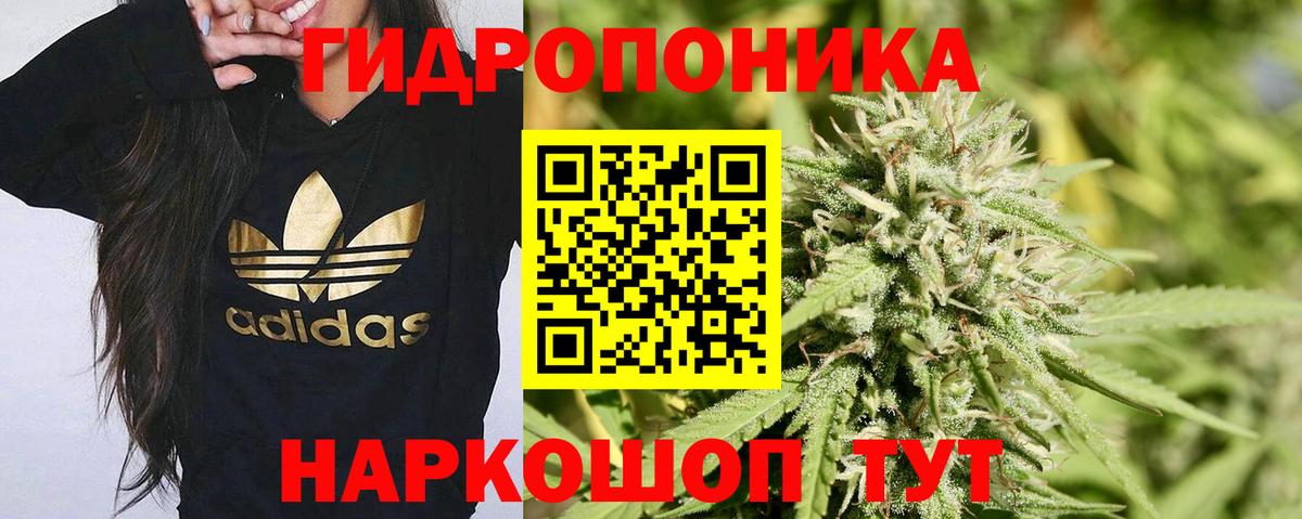 Бошки марихуана Ganja Симферополь